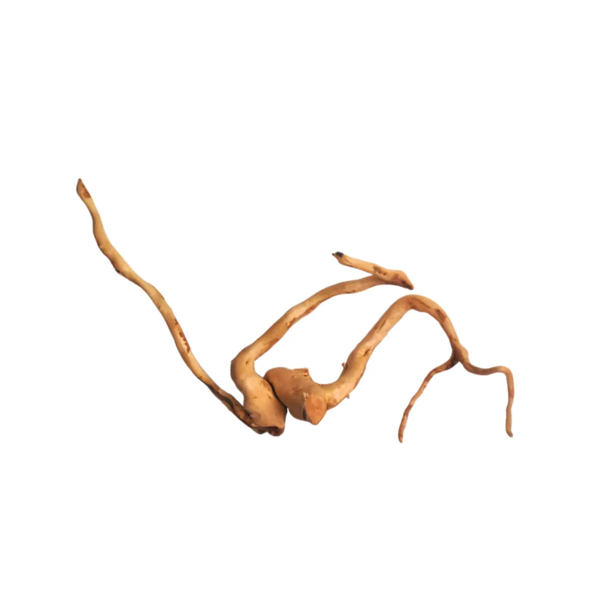 Premium Drift Wood Pd-11 | L*W*H = 28*7*15 Inches 1
