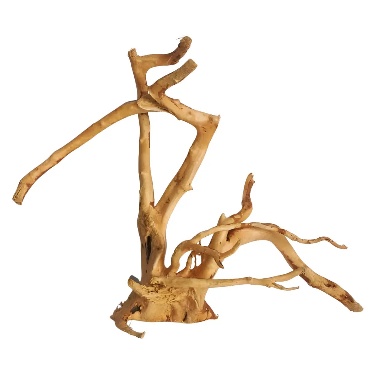 Premium Drift Wood Pd-25 | L*W*H = 19*8*14 Inches 1
