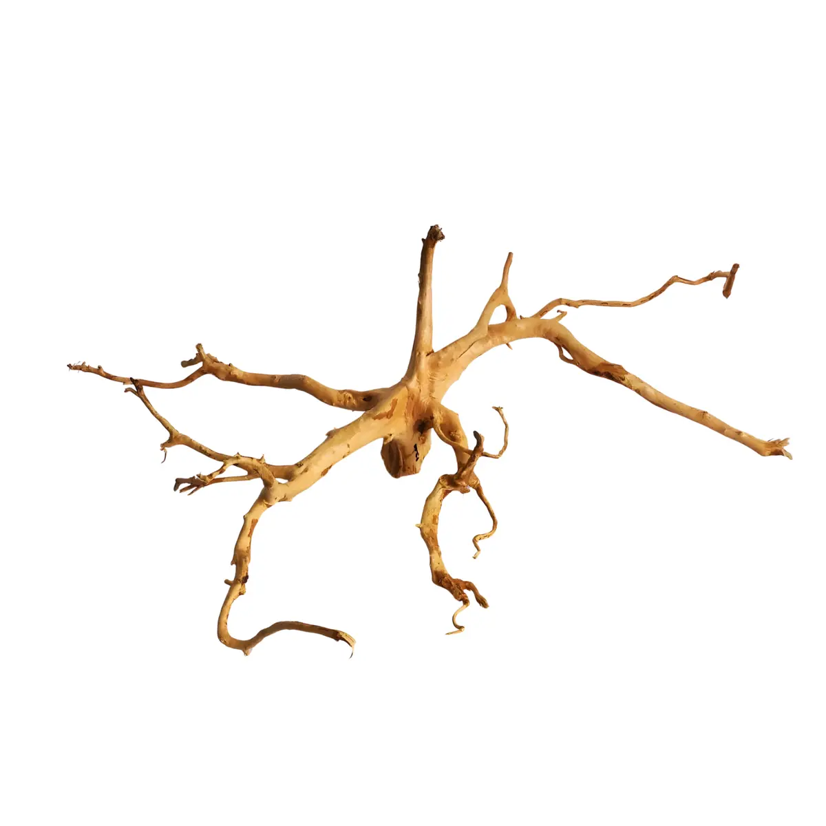 Premium Drift Wood Pd-4 | L*W*H* = 27*17*10 Inches 1