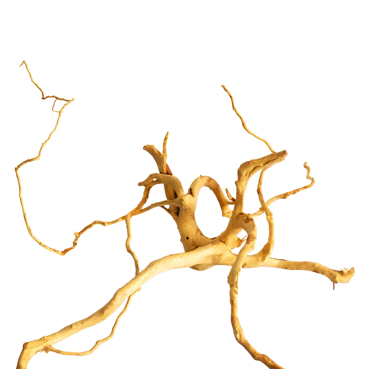 Premium Drift Wood Pd-8 | L*W*H = 30*21*14 Inches 1