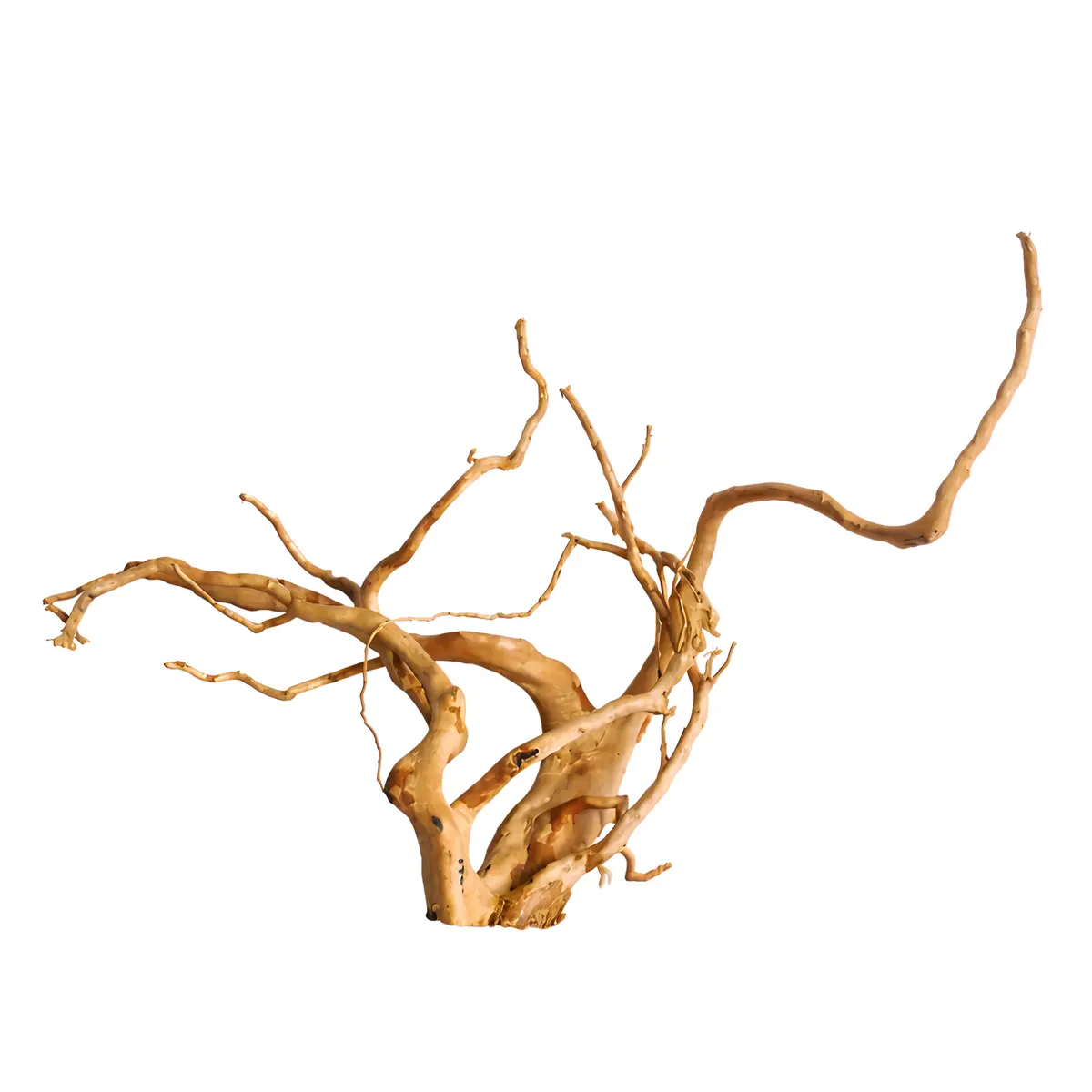 Premium Drift Wood Pd - 9 | L*W*H = 25*11*16 Inches 1