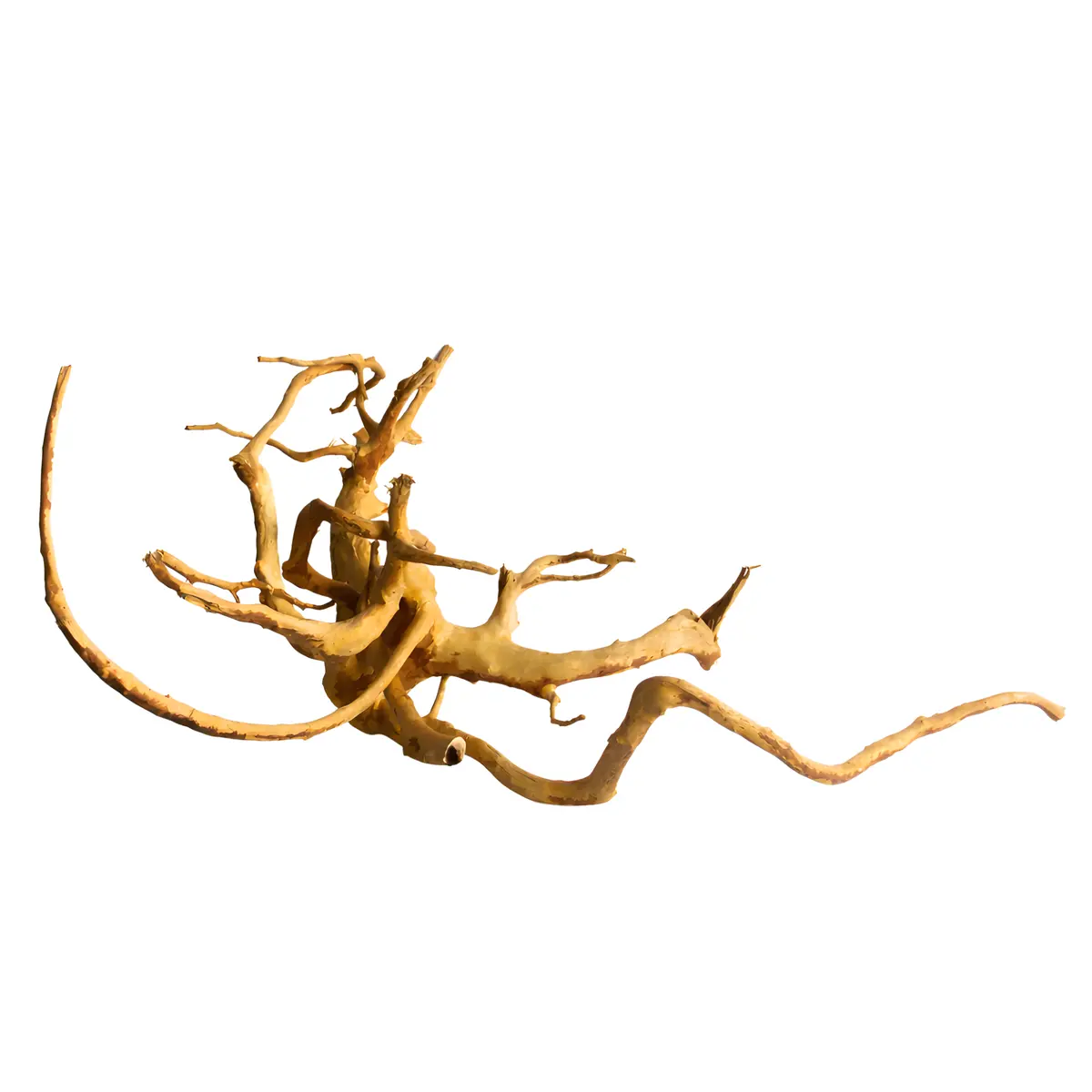 Premium Drift Wood - Pd21 | L*W*H=23*19*11 Inches 1