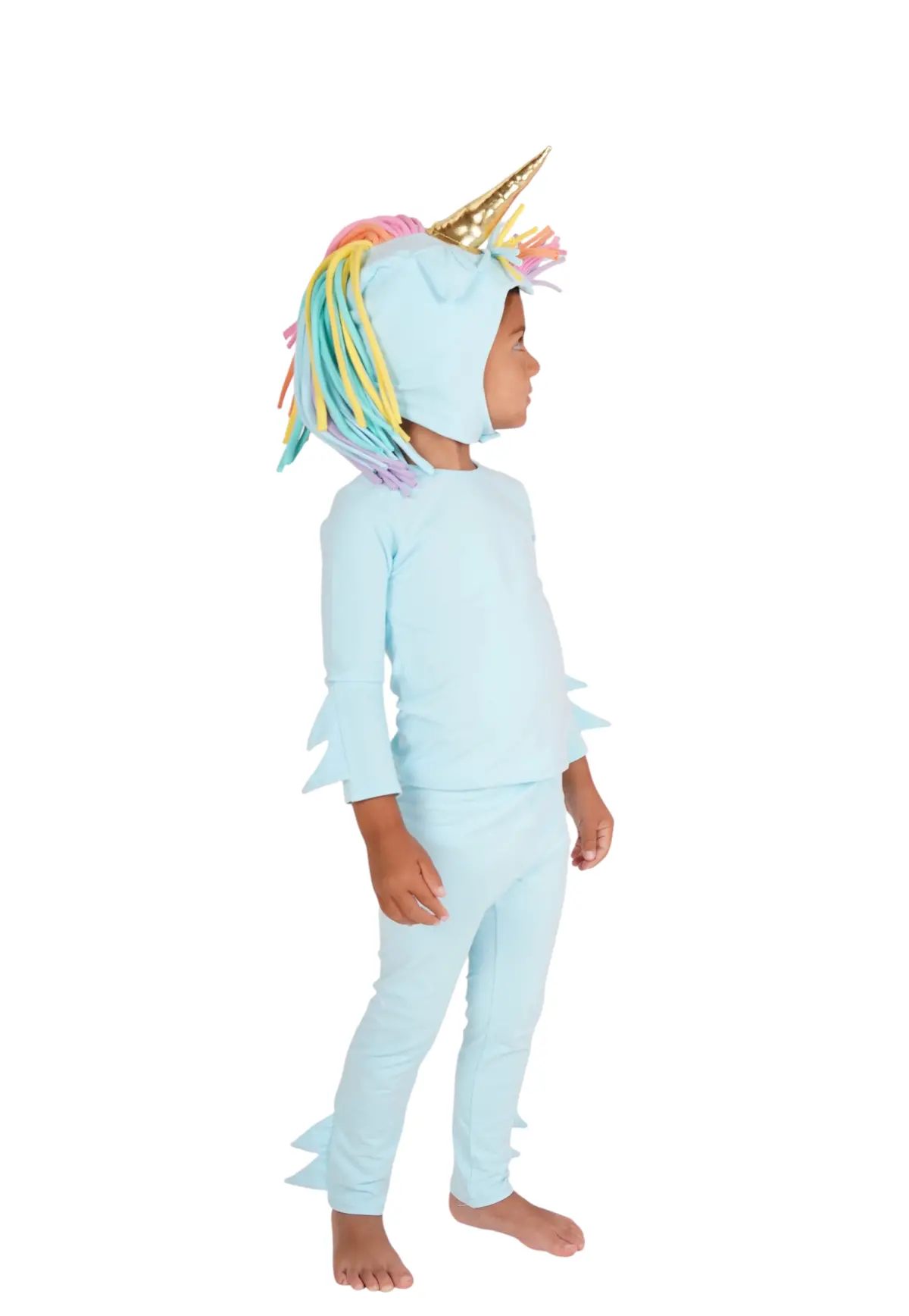 Band Of The Wild Rainbow Sky Unicorn 7