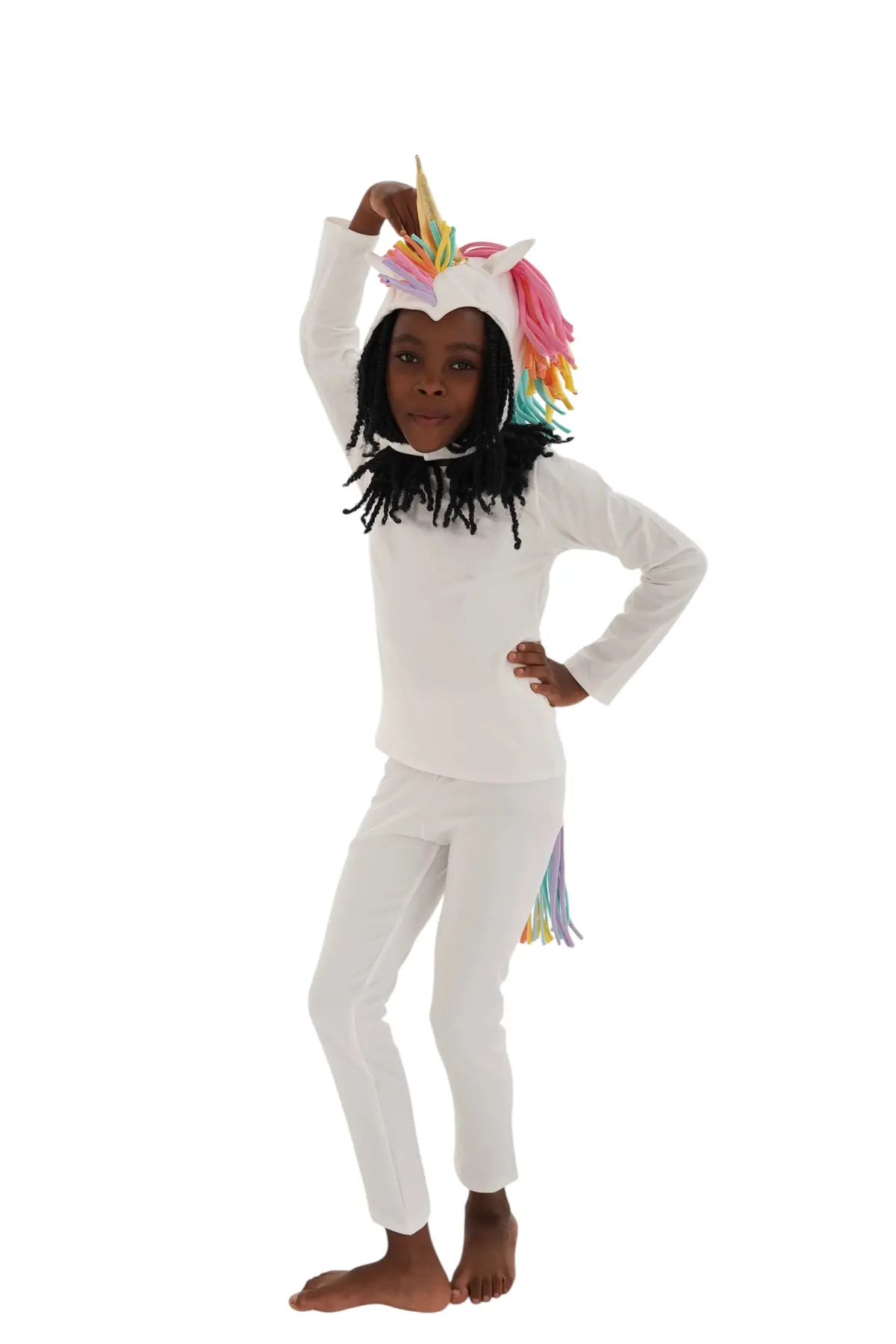 Band Of The Wild Rainbow Dream Unicorn 1