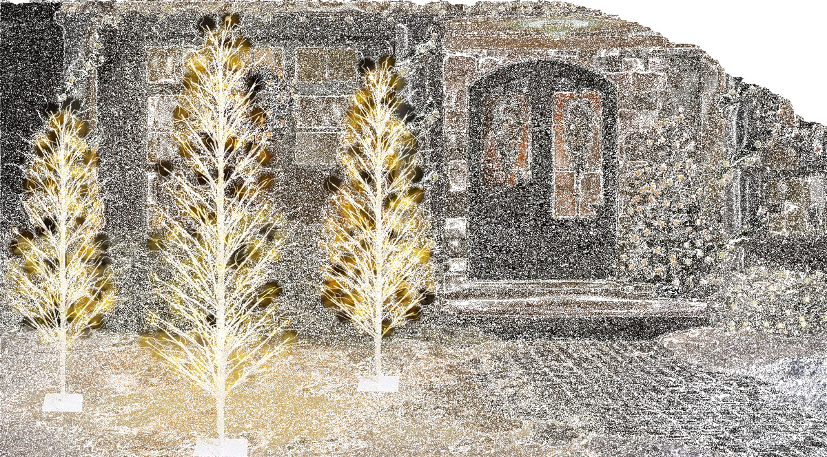 Columnar Birch Tree With Twinkling Warm White Led Lights 1