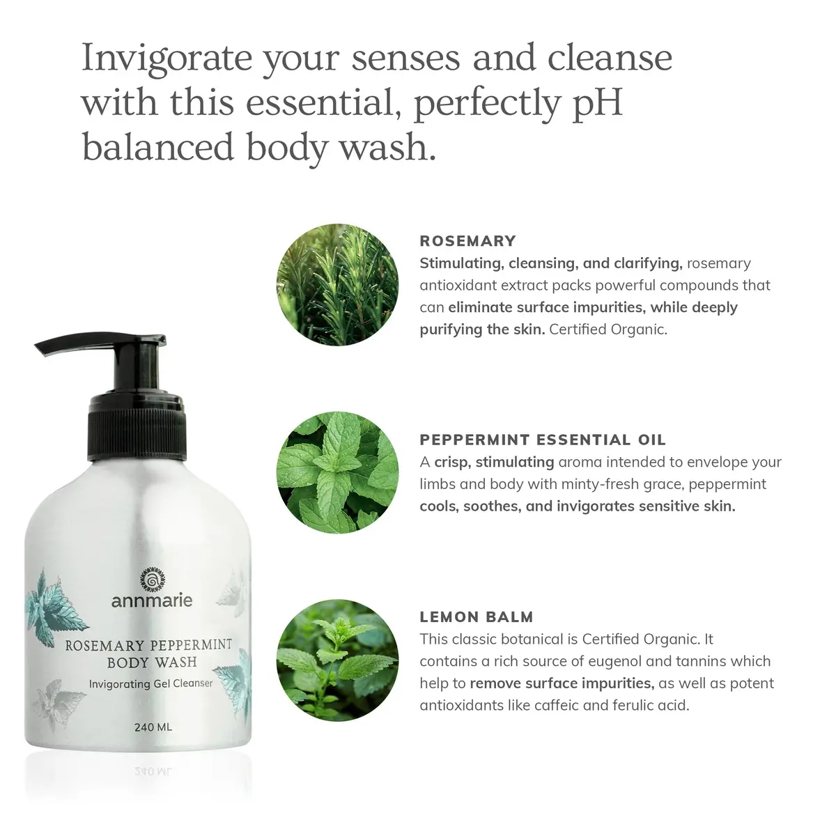 Annmarie Skin Care Rosemary Peppermint Hand & Body Wash (240Ml) 2