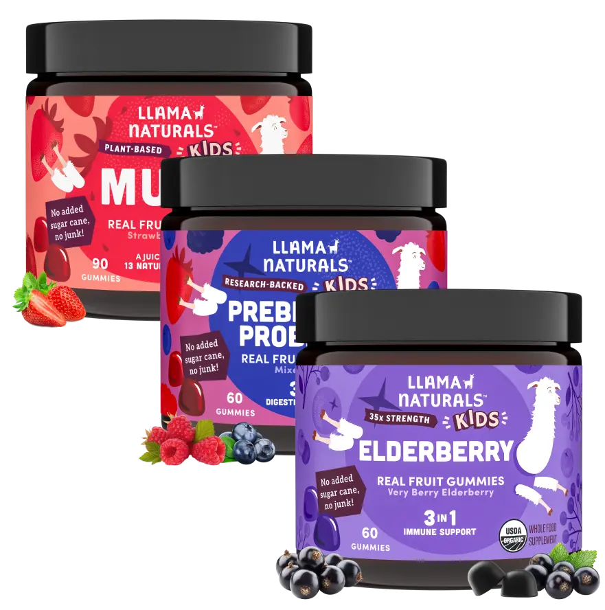 Llama Naturals Kids Complete Wellness Bundle – Multi + Pre & Probiotic + Elderberry Gummies 1