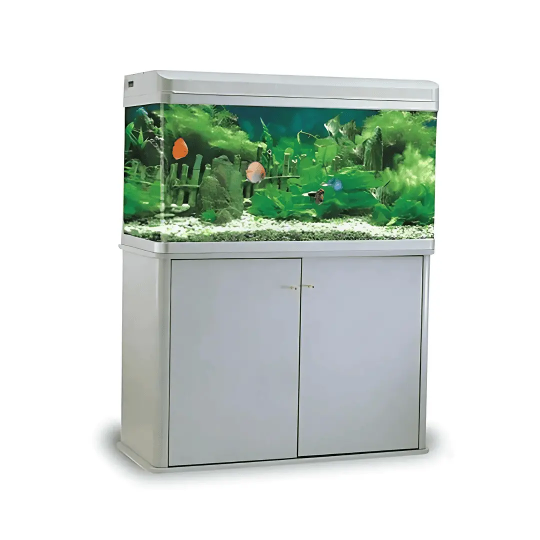 Rs Electrical Glass Aquarium Rs-100B (L*W*H = 100*40*60 Cms) 1