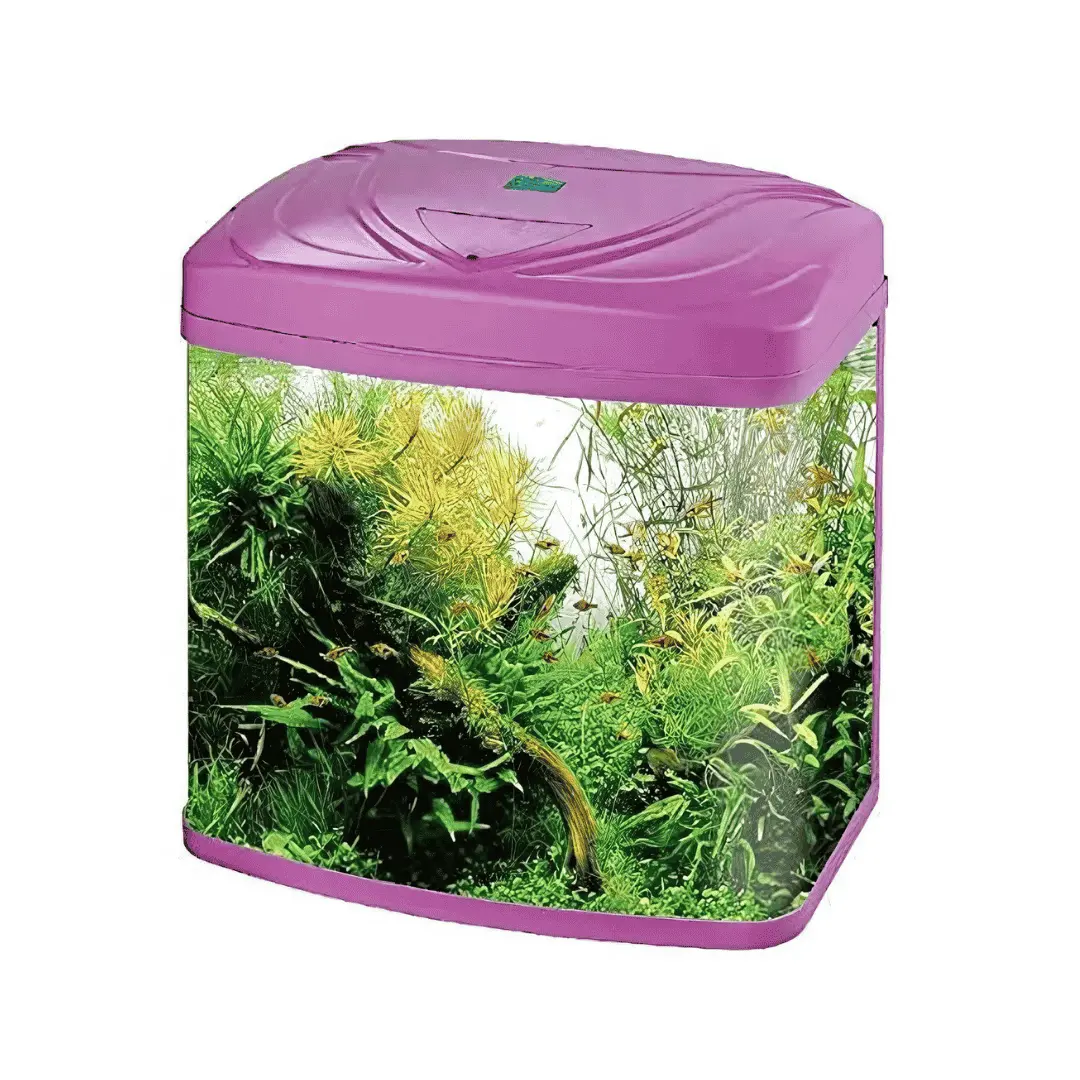 Rs Electrical Glass Aquarium Rs-480A (L*W*H = 48*25*45 Cms) 1