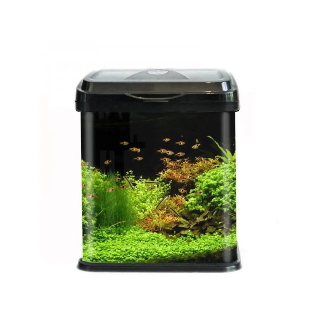 Rs Electrical Glass Aquarium Only Rs-230El (L*W*H = 23*20*23 Cms) 1