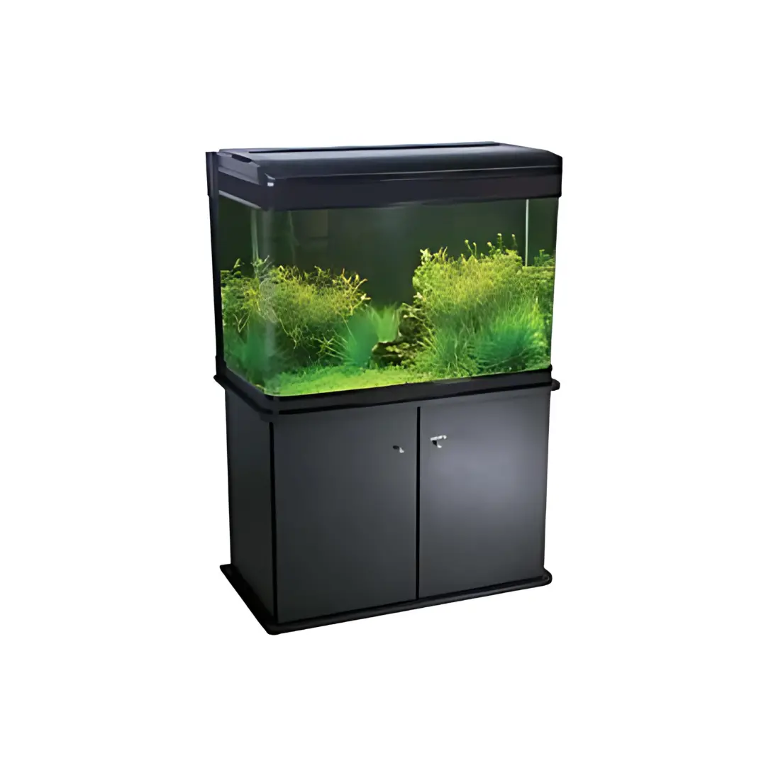 Rs Electrical Glass Aquarium Only Rs-80B (L*W*H = 81*40*60 Cms) 1