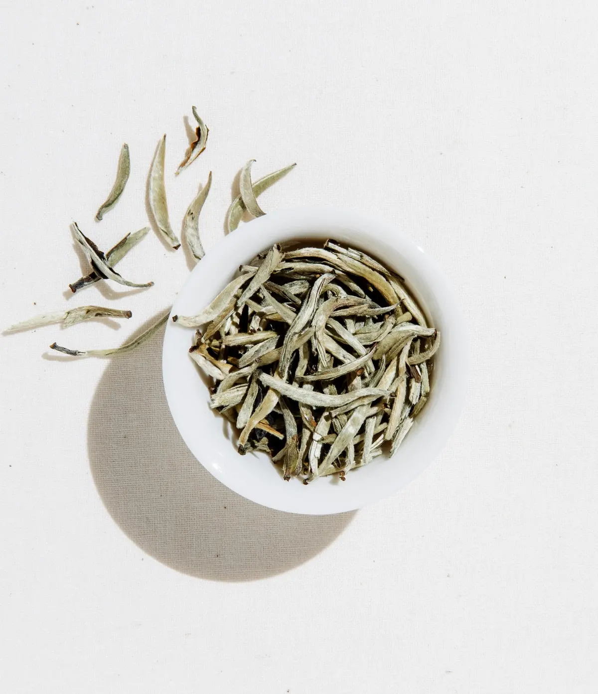 Art Of Tea Silver Needle Tea 1