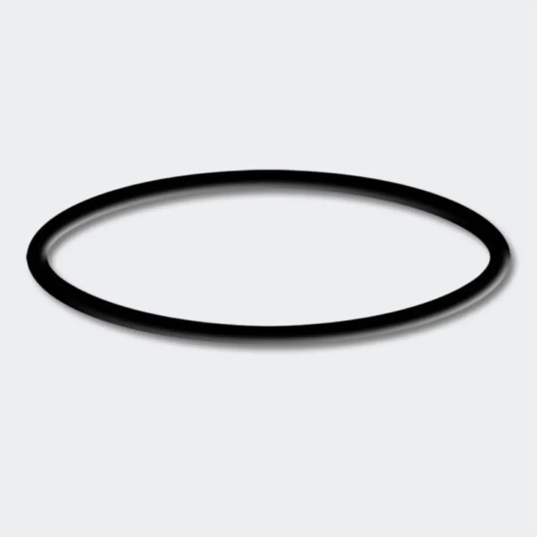 Sunsun Cpf 5000 O-Ring | Spare 1
