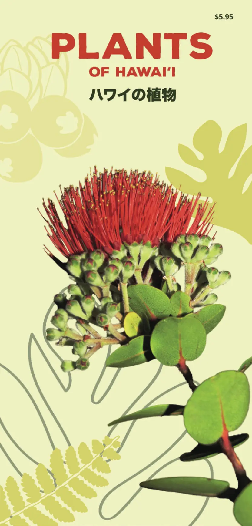 Plants Of Hawai‘I Pocket Guide 1