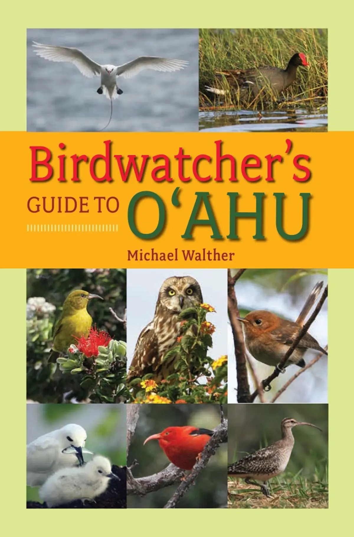 Birdwatcher’S Guide To Oʻahu 1