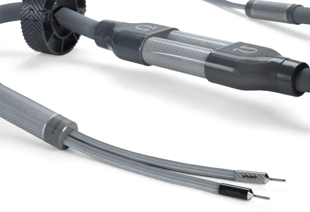 Shunyata Research Omega X Speaker Cable 2
