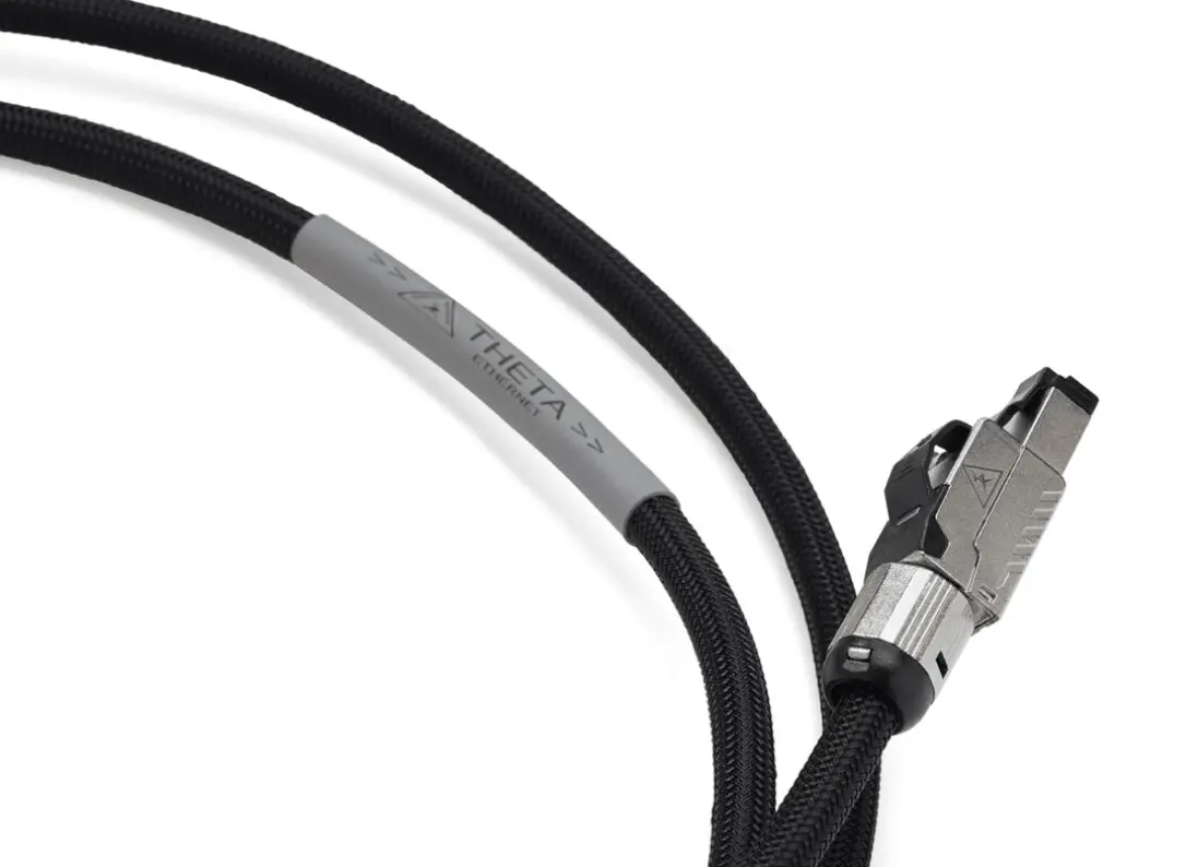 Shunyata Theta Ethernet Cable 2