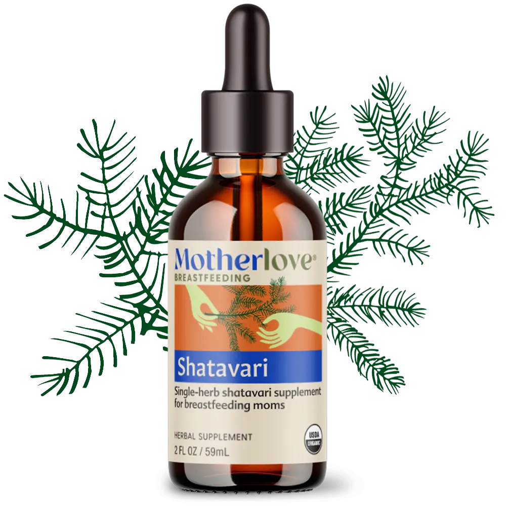 Motherlove Herbal Company Shatavari - Tincture 1