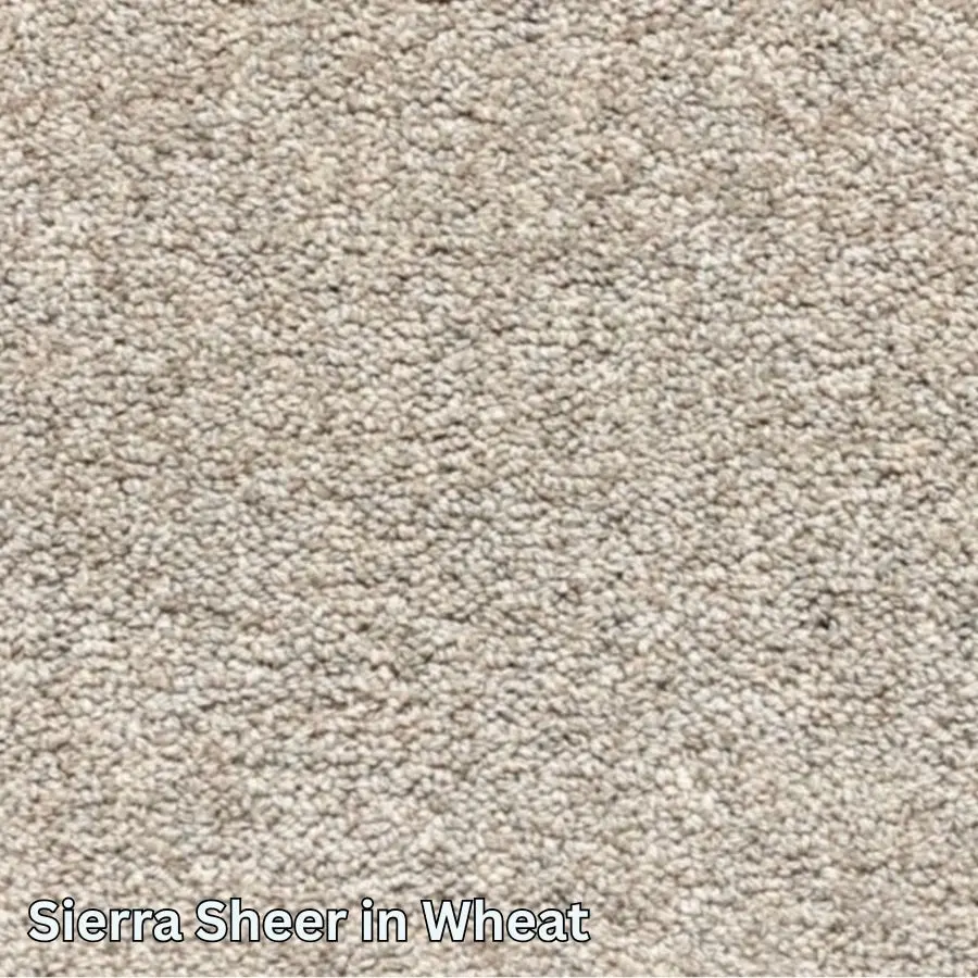 Clean Carpet & Rugs - Non-Toxic Wool Area Rugs - Sierra Sheer 1