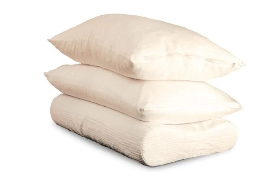 Soaring Heart Organic Latex Pillows 1