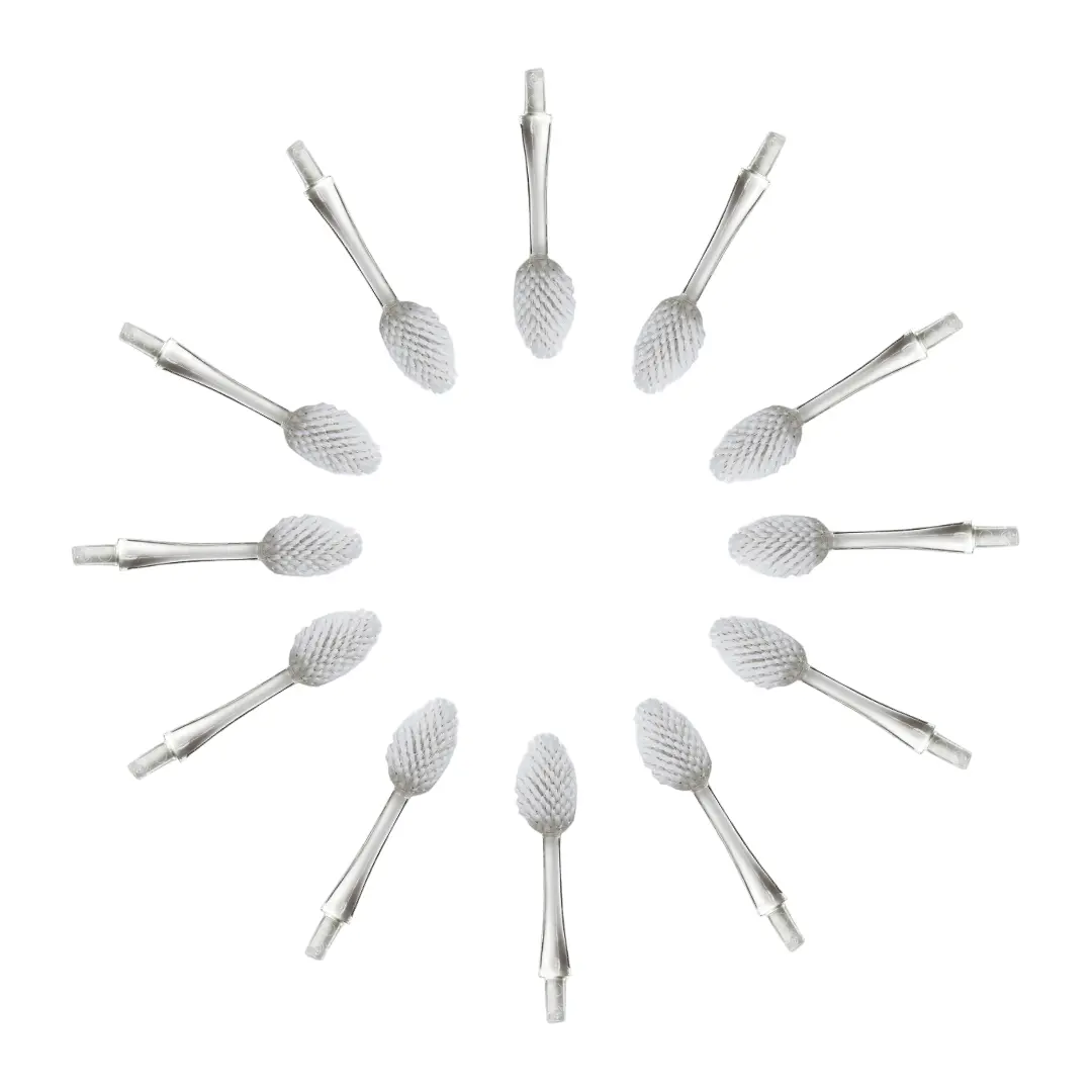 Radius Brush Replacement Heads (2 Pack - Source & Tour) 4