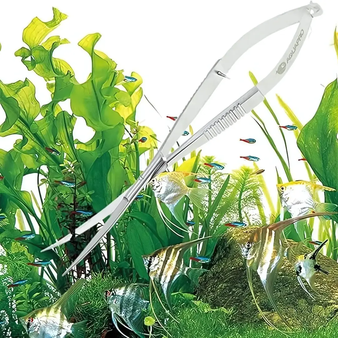 Aqua Scaping Tool Stainless Steel Spring-Loaded  Scissors 1