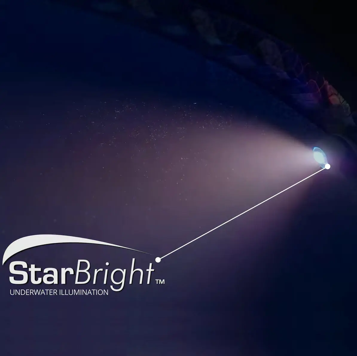 Star Series Starbright Feature For Carvin® Pools 1