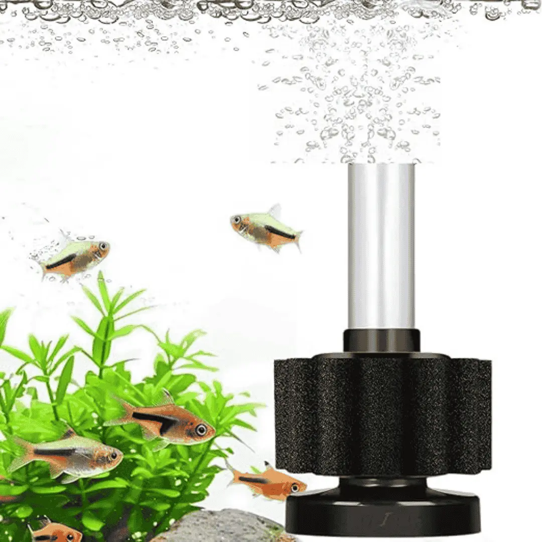Liny Sponge Filter Ly 2833 1