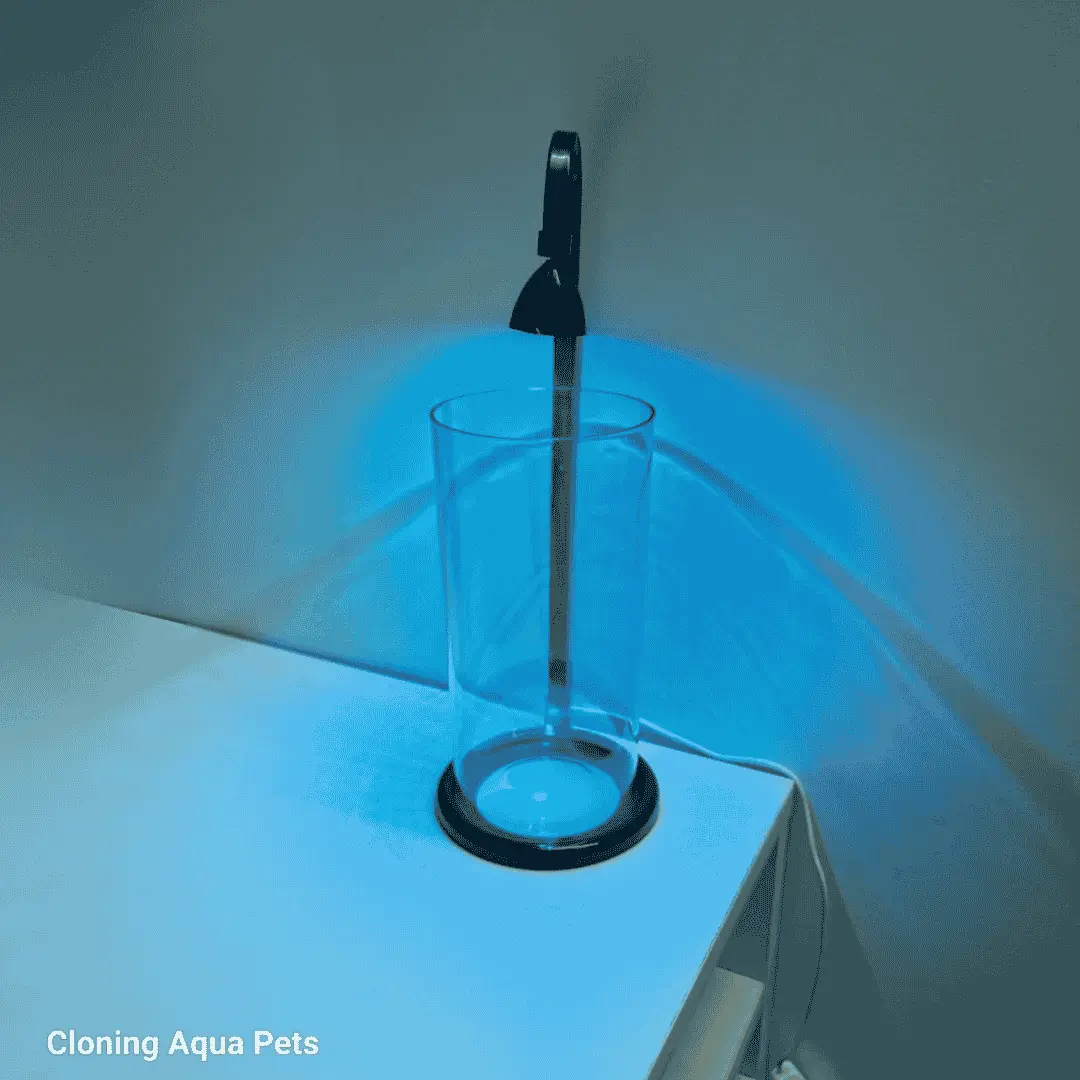 Petscope Cylinder Fish Tank 1