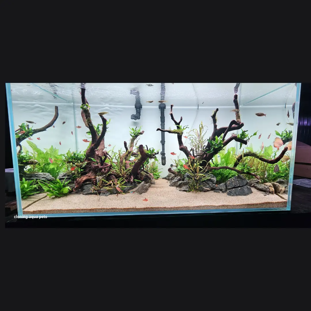 4 Feet Ultra Clear Open Tank (L*W*H = 120*60*60 Cms) | 12Mm 1