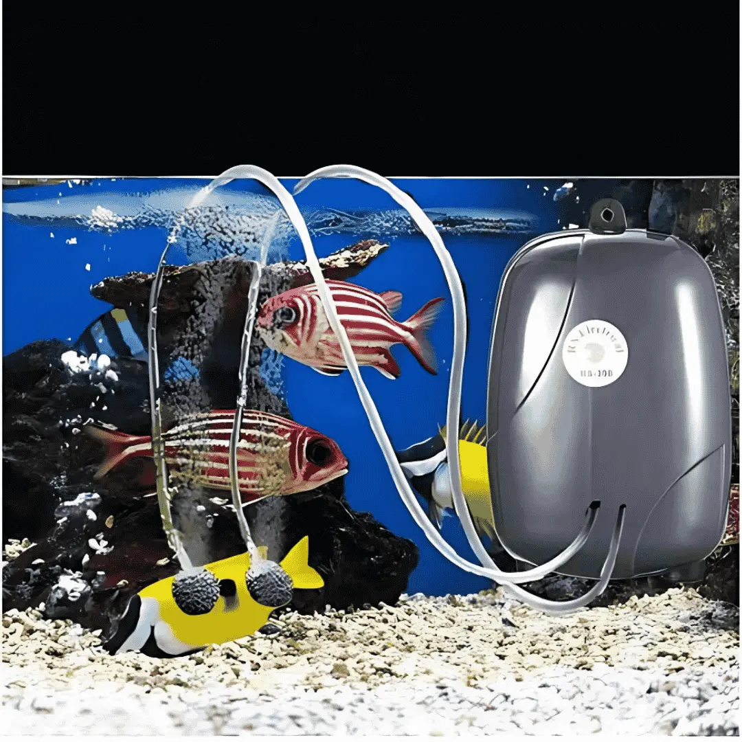Air Pump Rs 390 2
