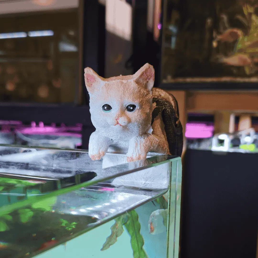 Decor Toy - 6*4*6 Inches - Hanging Cat 1