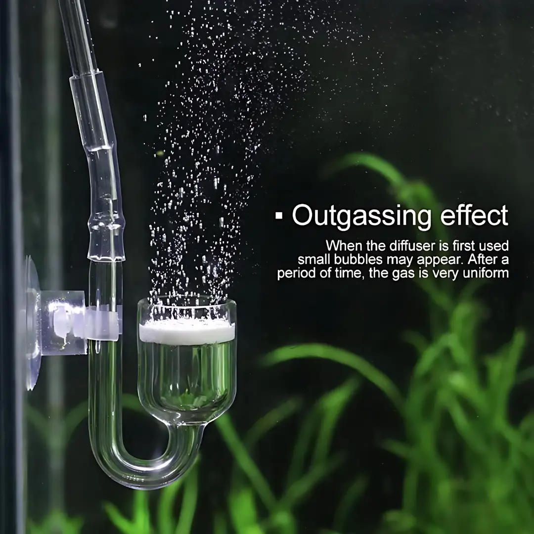 Co2 Glass Diffuser M Size 1