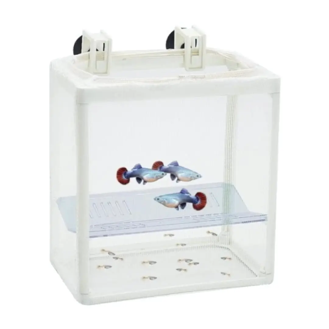 Breeding Box Dophin Bb-12 2