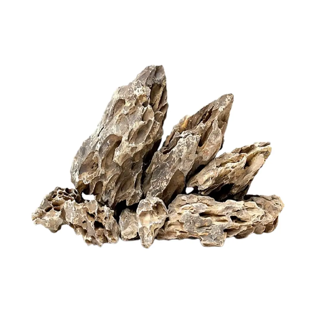 Decor Dragon Rock/Bamboo Rock - 1 Kg 1