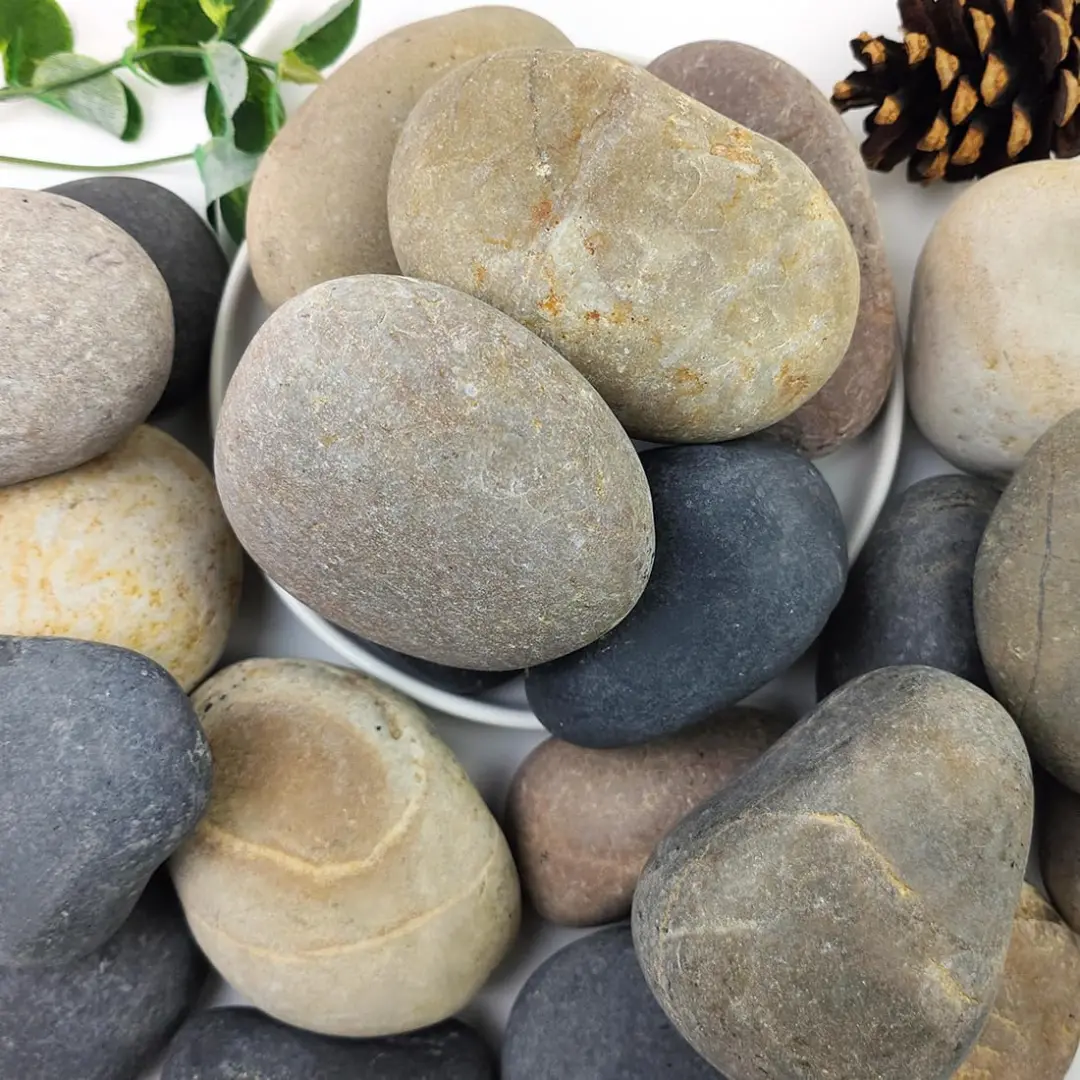 Decor Pebbles (Chapathi Stone) For Aquarium And Out Door Garden - 1Kg 1