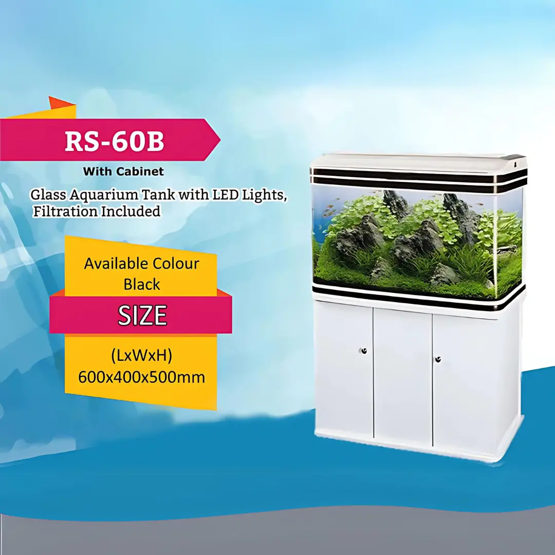 Rs Electrical Glass Aquarium Rs-60B (L*W*H = 60*40*50 Cms) Tank Only 1