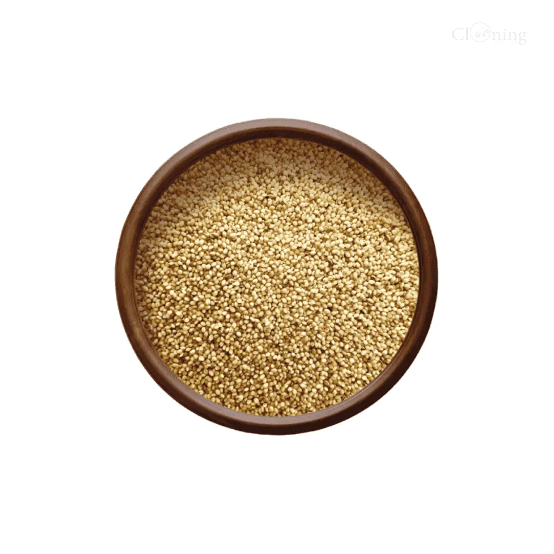 Food Thenai 2Kg (Foxtail Millet) 1