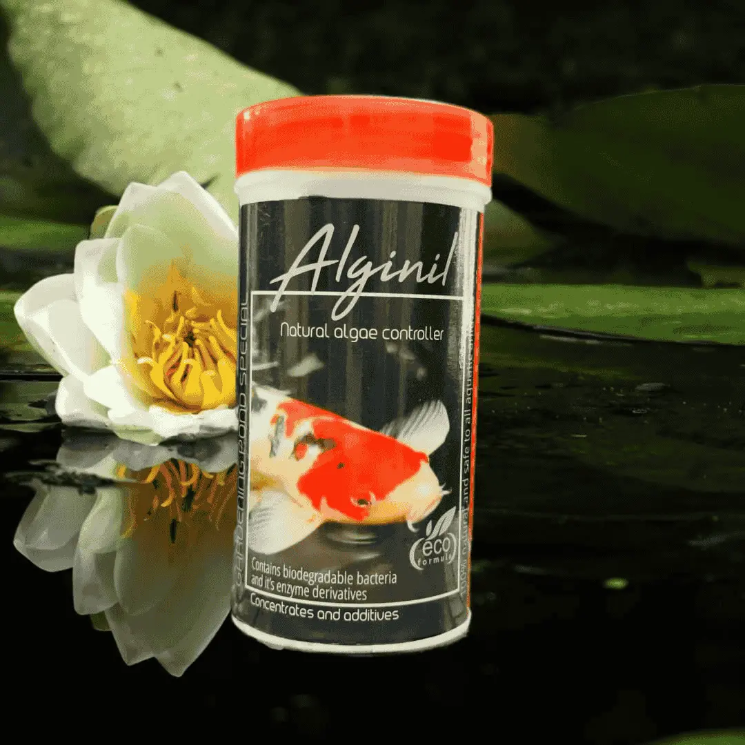 Aquatic Remedies Algi-Nil 100G 1