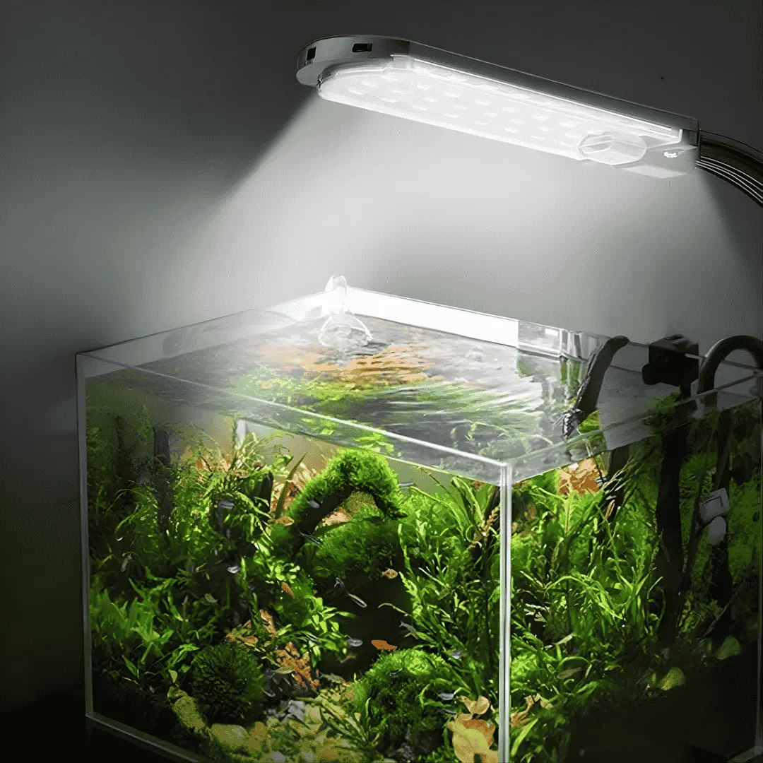 Rs Electrical Aquarium Led Clip-On Lamp Rs-S500 (Suit For 40–80 Cm ) 1
