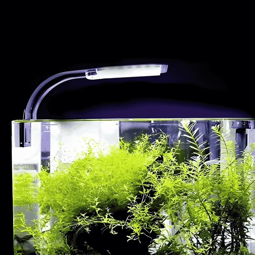 Rs Electrical Aquarium Led Clip-On Lamp Rs-S400 (Suit For 25–50 Cm) 1