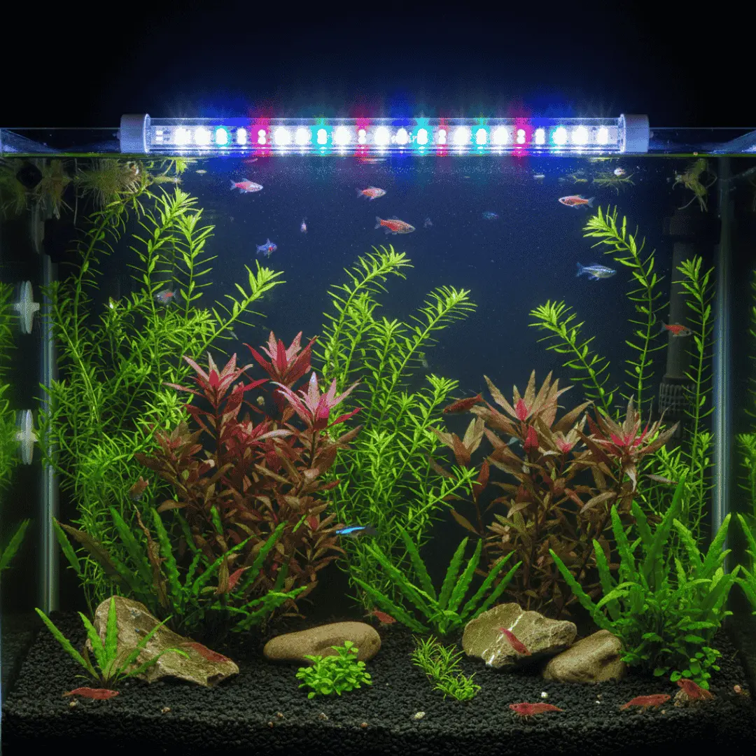 Aquarium Light Roxin Gx-A500 Wrgb Led 50–60 Cm 1