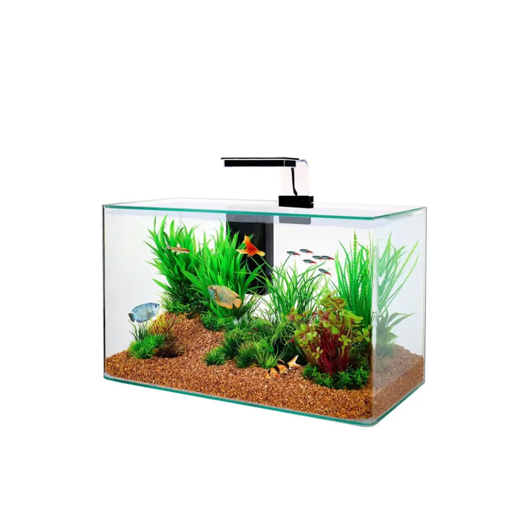 Extra Clear Open Tank (L*W*H =  60*30*35 Cm) 6Mm 1