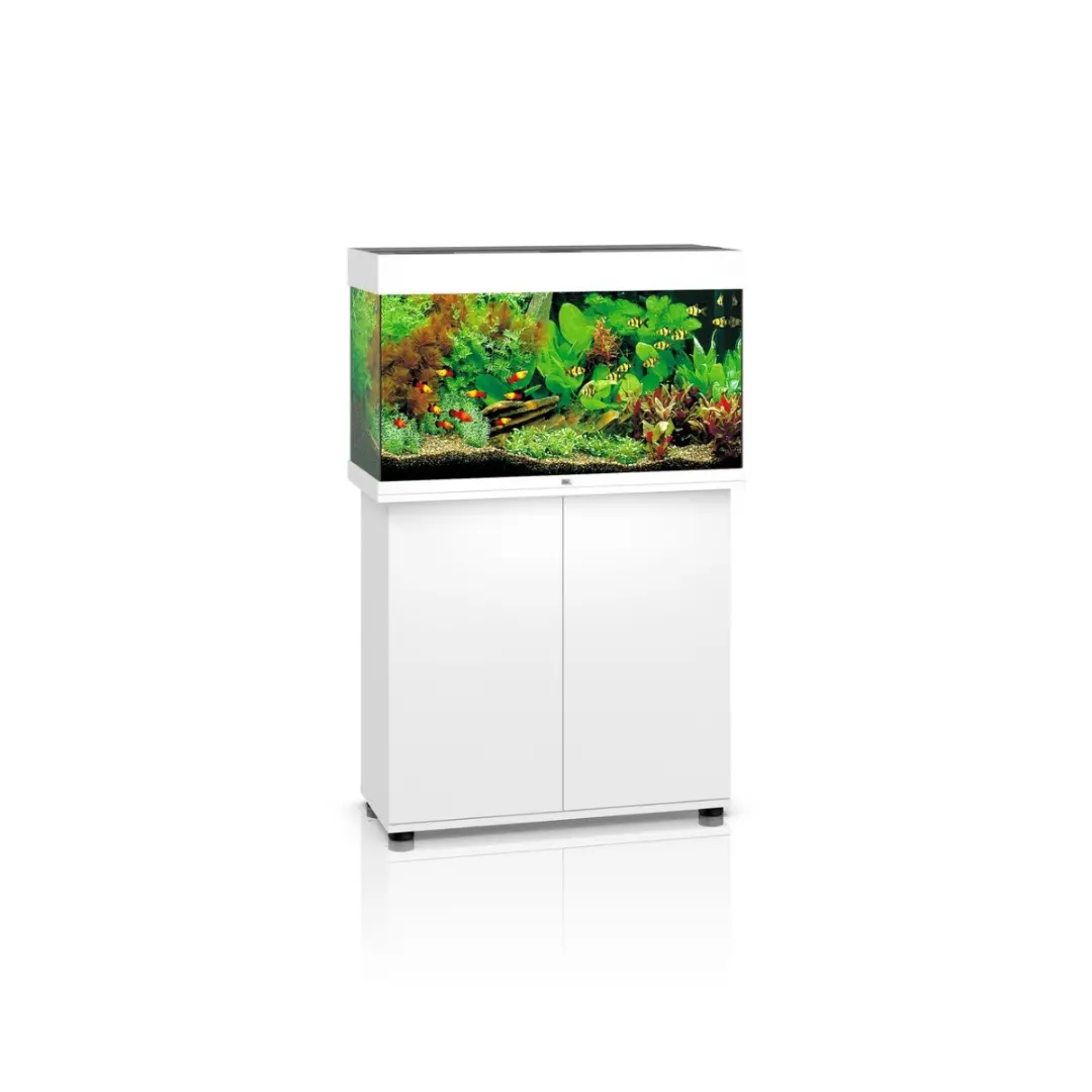 Fivestar 2 Feet Curve Tank Only (L*W*H = 60*33*46 Cms) 1