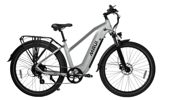 Hera Electric City Bike 2