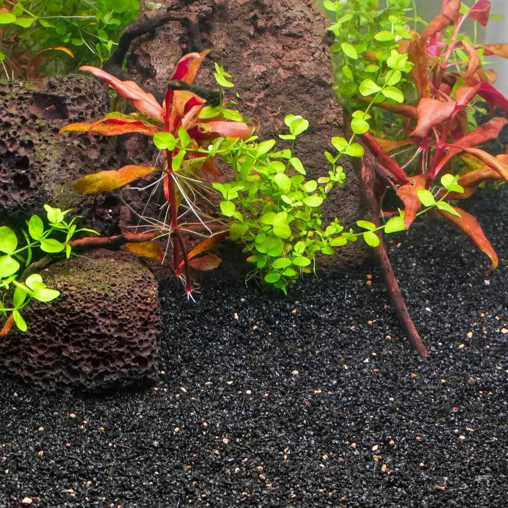 Activ Betta Bio-Activ Gravel (1 Lb. Bag) 2