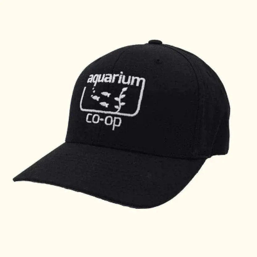 Aquarium Co-Op Black Baseball Hat 1