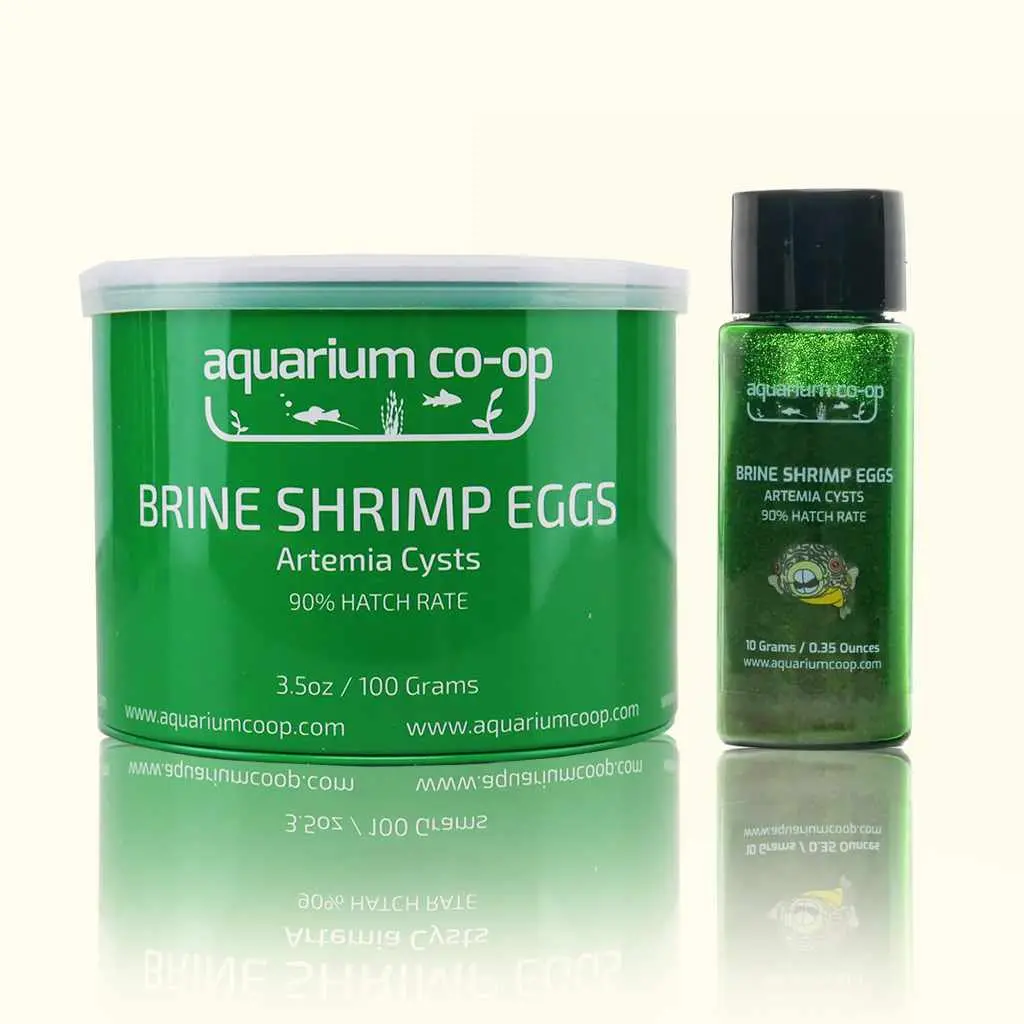 Aquarium Co-Op Brine Shrimp Eggs 1