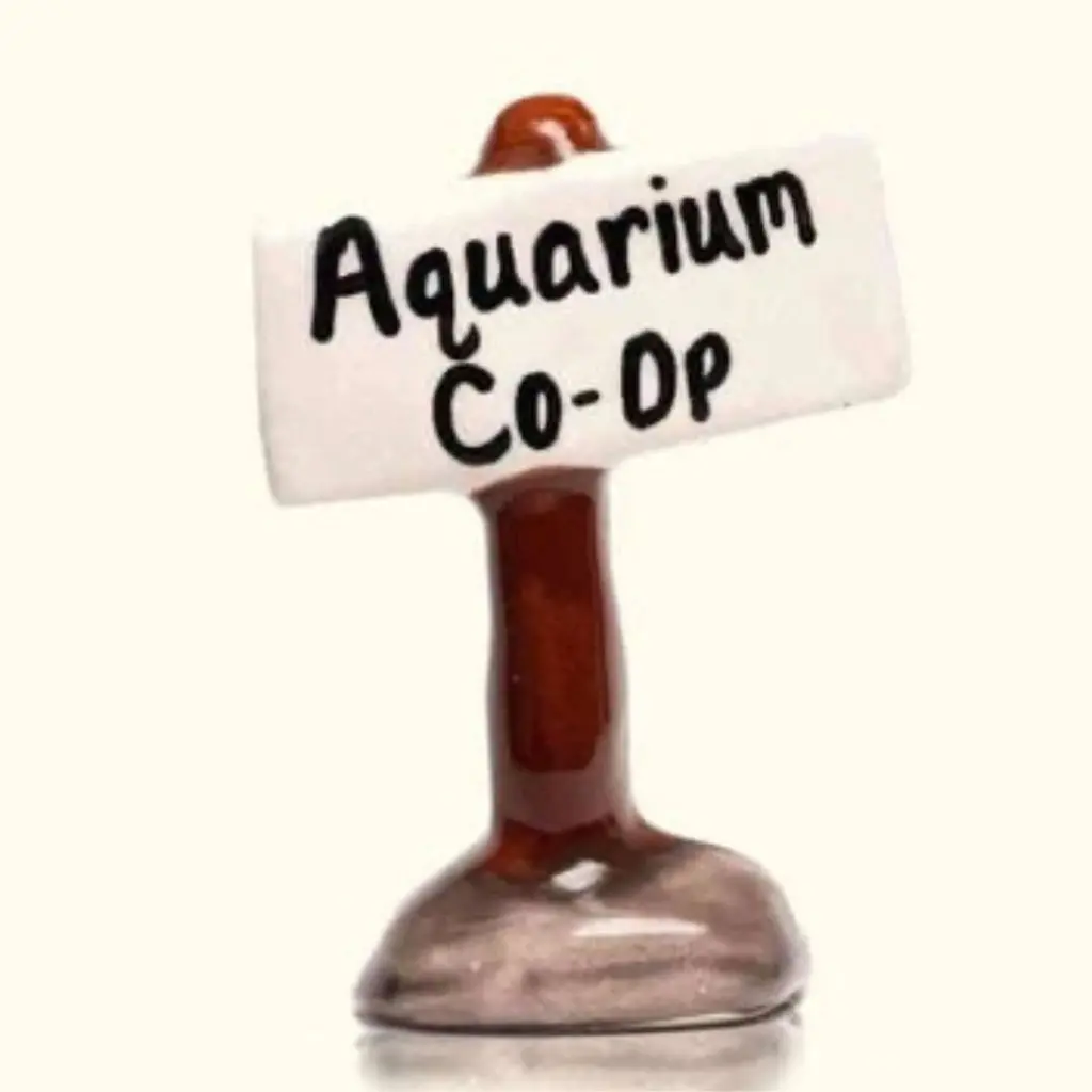 Aquarium Co-Op Decoration 1