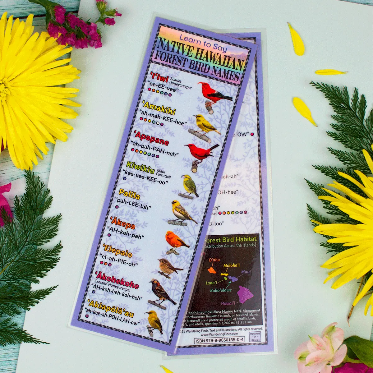 Hawaiian Bird Name Pronunciation And Field Guide 1